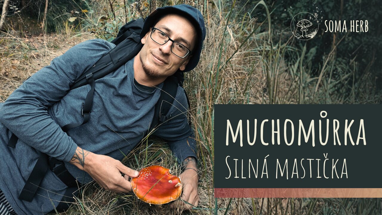 Hřejivá mast z muchomůrky červené – podrobný návod (Amanita, kostival, CBD)