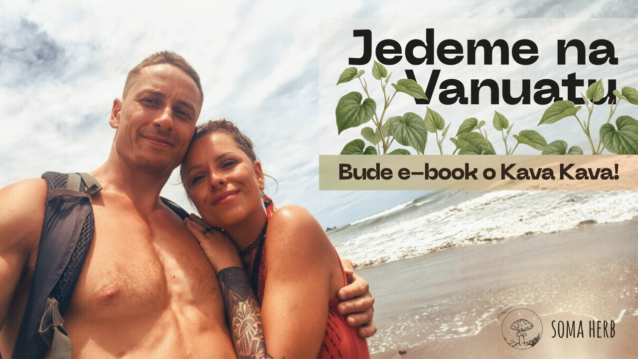 Kava Kava – rituál, kultura a cesta na Vanuatu (e-book)