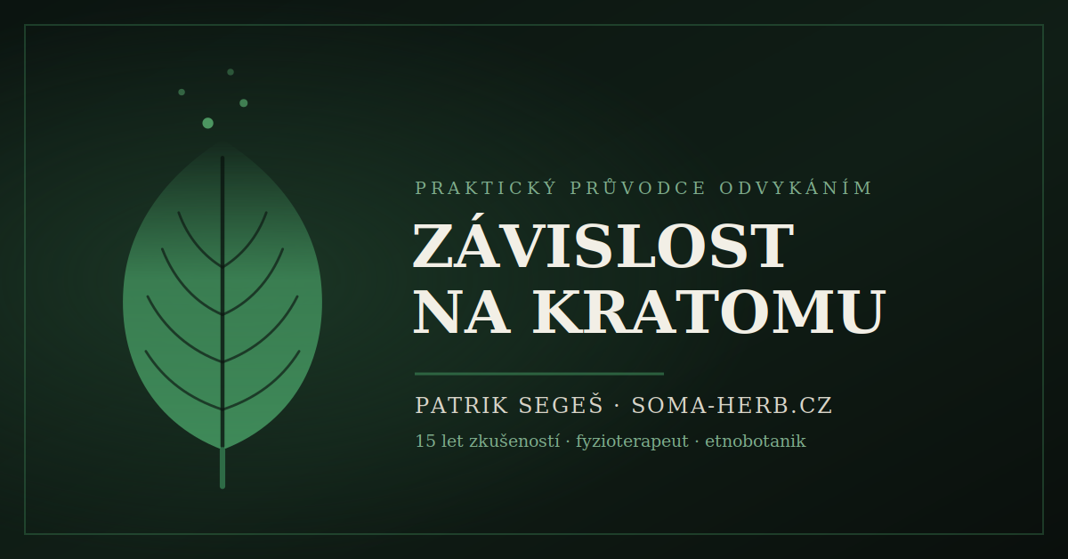 Jak přestat s kratomem: kompletní návod od člověka, který ho 15 let bral