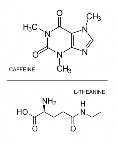 kofein, l-theanin, wayusa