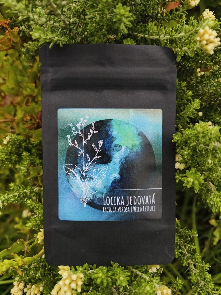 Locika jedovatá (Lactuca virosa) – pryskyřice 100:1 | Wild Lettuce extrakt