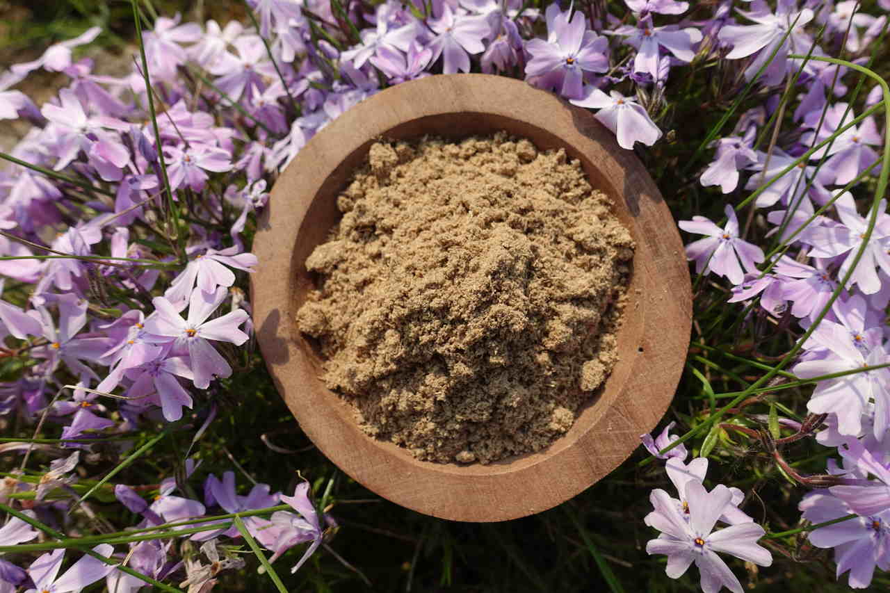 Kava Kava - Papua New Guinea "Isa" 100% Lateral Roots - mletý kořen