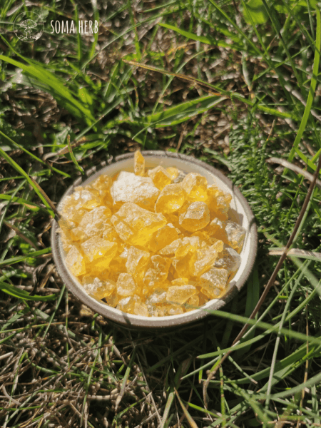 Kopál mexický zlatý (bursera bipinnata) vykuřovadlo