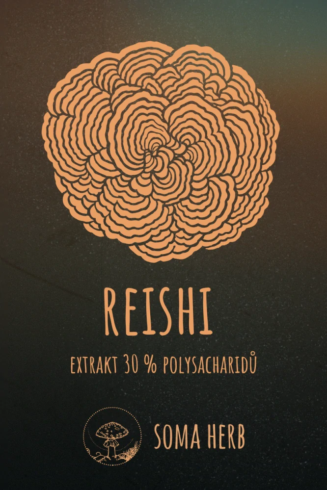 Reishi – extrakt 30 % polysacharidy 50 g