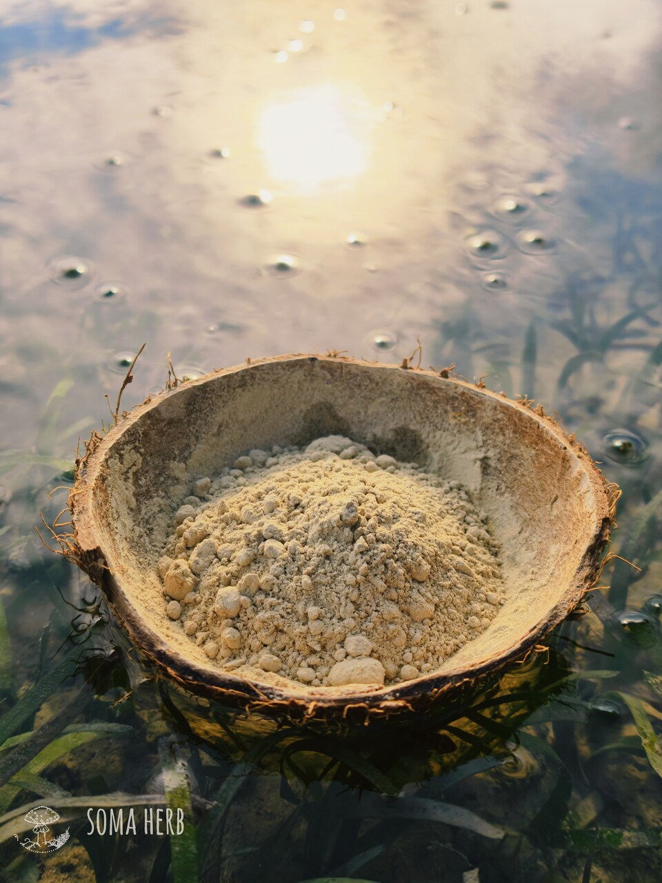 Green Flow – Instant Kava (Vanuatu) 10 g