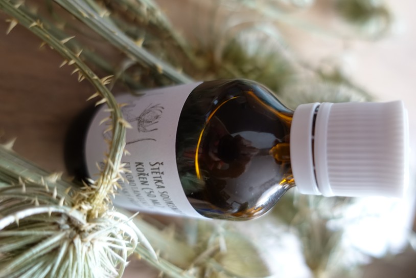 Štětka soukenická (Dipsacus sativus) – tinktura 1 : 1