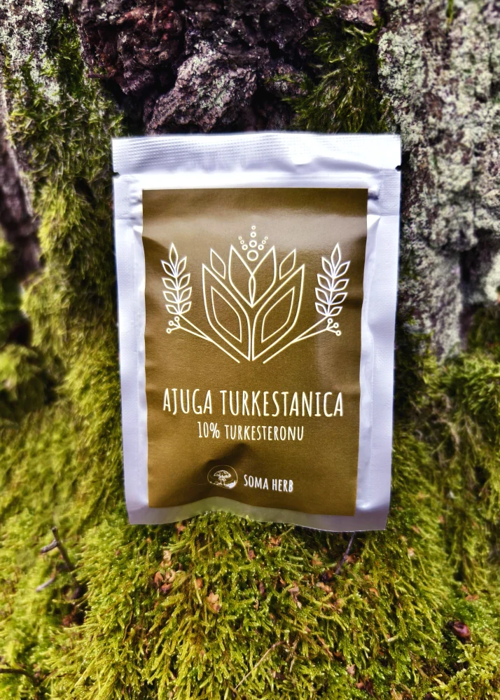 Ajuga Turkestanica extrakt (10% turkesteronu) 50 g