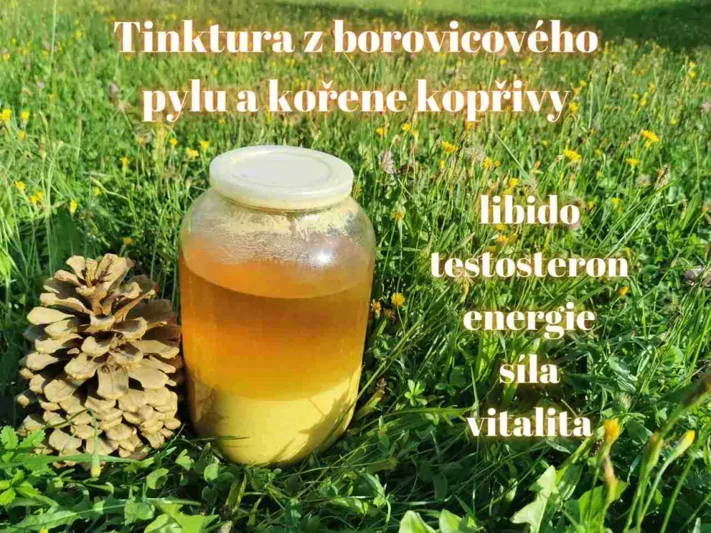 Borovicový pyl a kořen kopřivy tinktura (z 10 x extraktů)