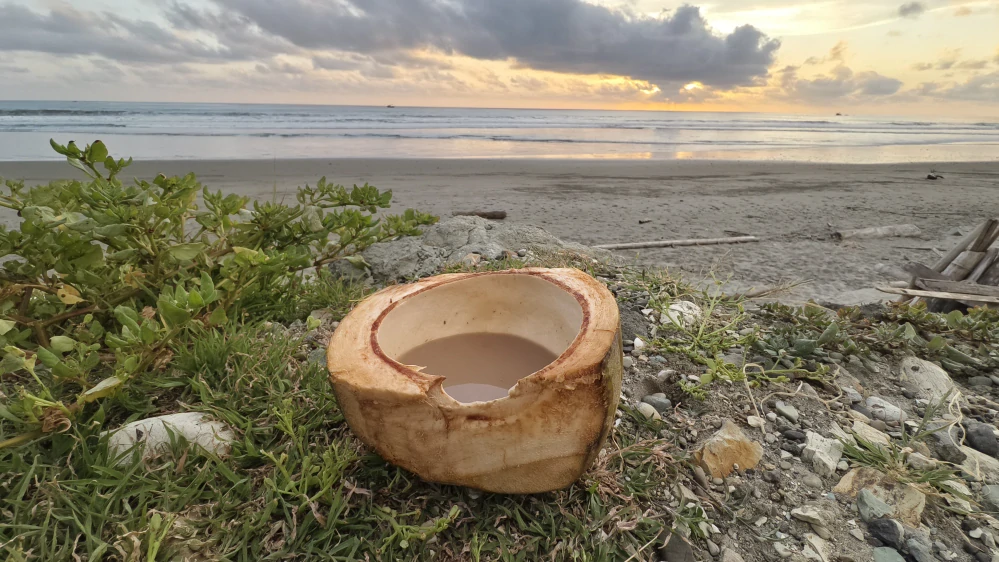 Kava Kava Vanuatu Magic (pepřovník opojný)