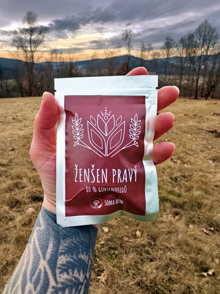 Ženšen pravý - extrakt z kořene s 80% ginsenosidů (prášek) 50 g