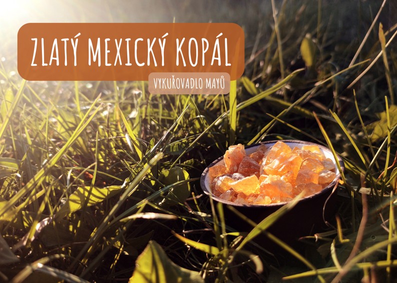 Kopál mexický zlatý (bursera bipinnata) vykuřovadlo