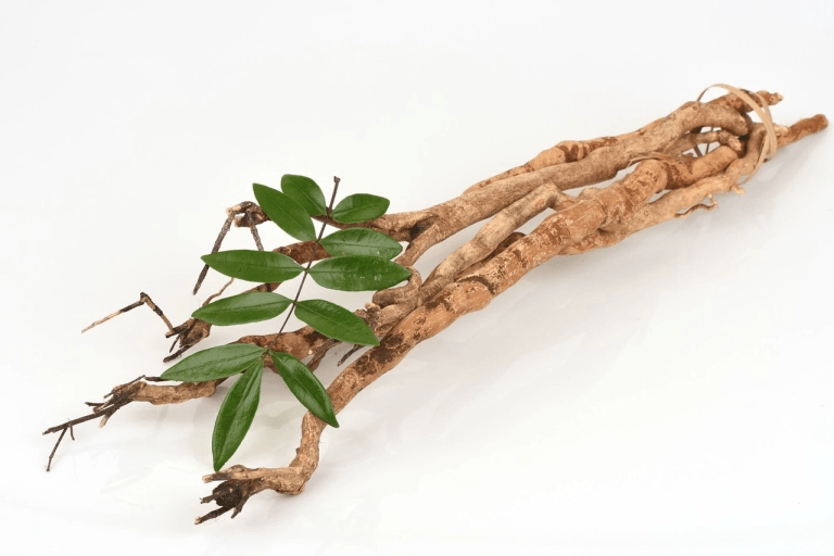 SOMA HERB Tongkat Ali extrakt, 3% eurycomanone, 250 mg, 60 kapslí