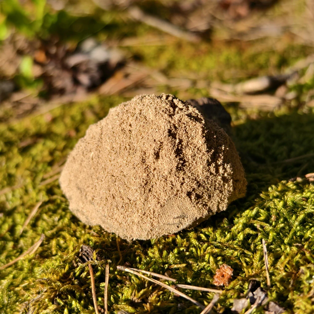 Kava Kava Solomon Kastom Lateral Root - mletý kořen 100 g