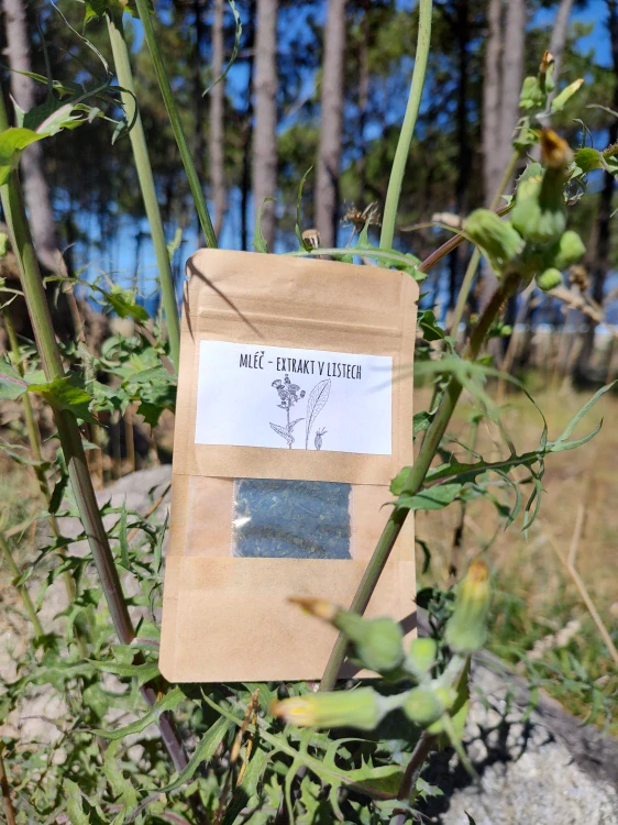 SOMA Smoke Blend – Mléč a Modrý Leknín - 2 g