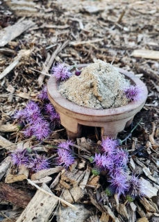 Kava Kava instantní - Fiji 