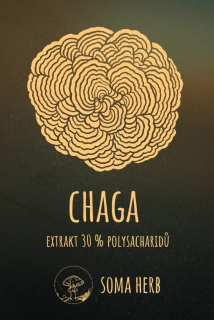 Chaga – extrakt 30 % polysacharidy 50 g
