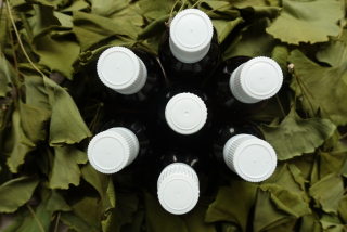 Ginkgo biloba (jinan dvoulaločný) – tinktura 1 : 1